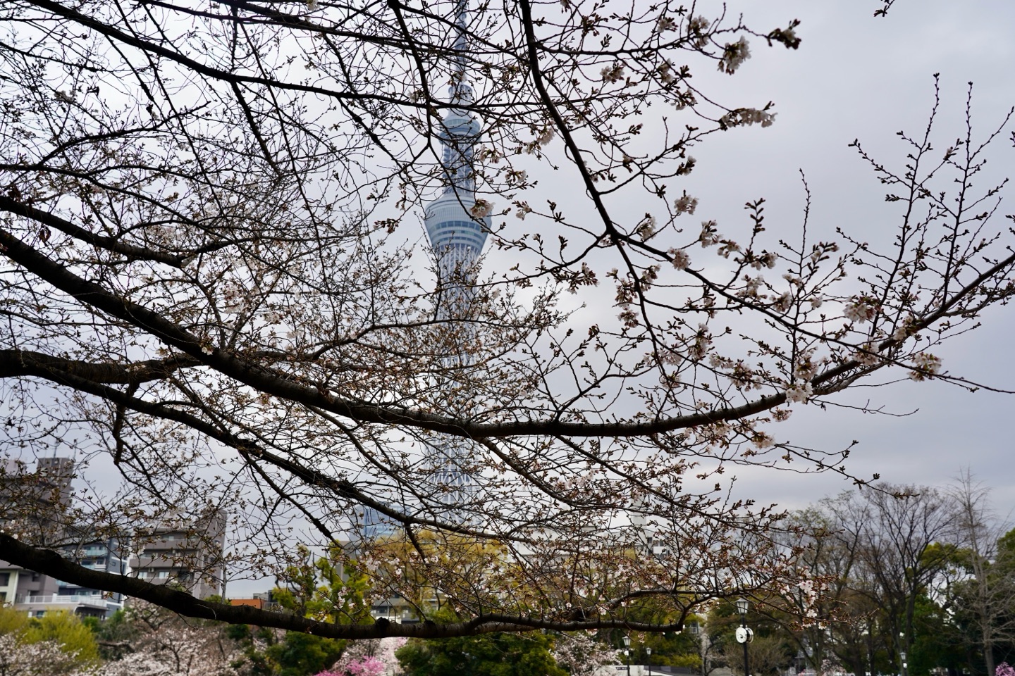 掲示板画像