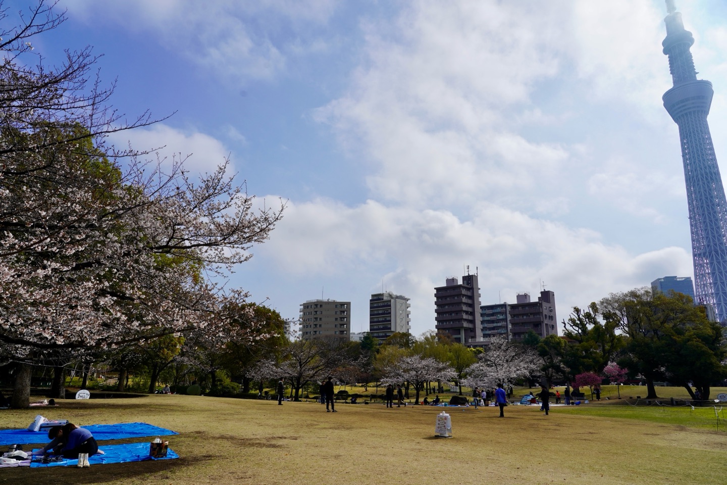掲示板画像