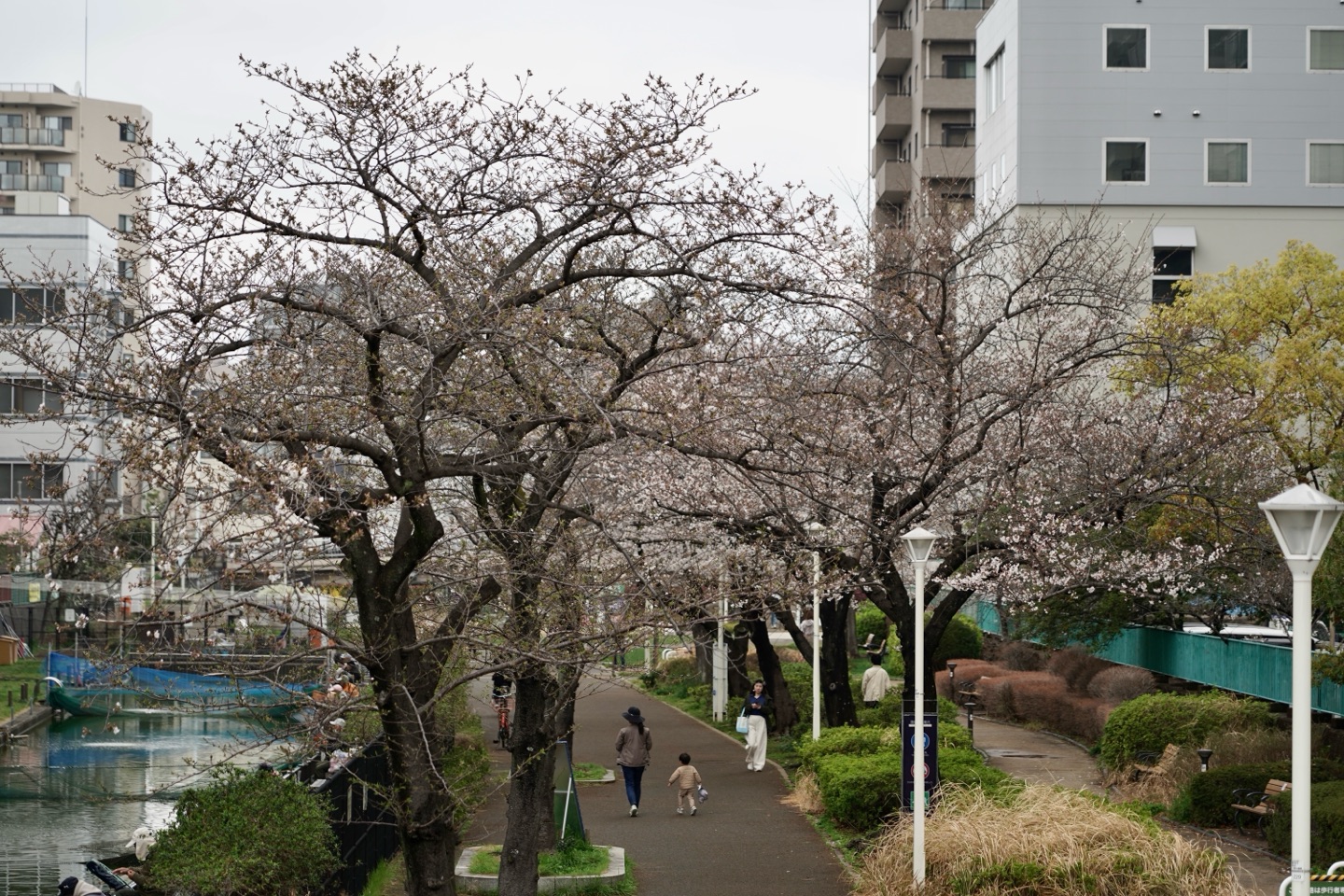 掲示板画像