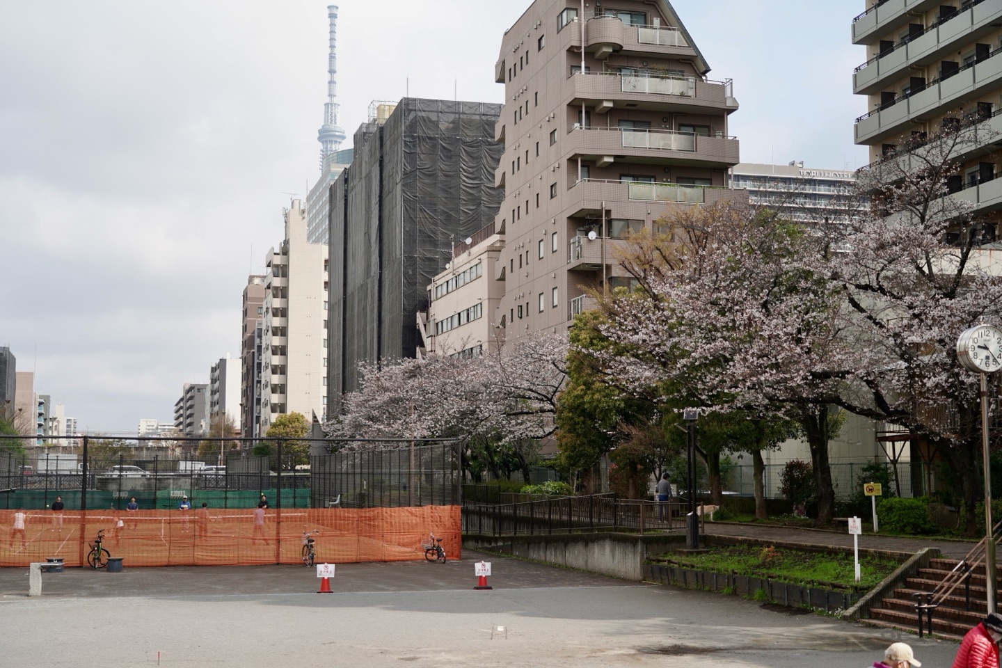 掲示板画像