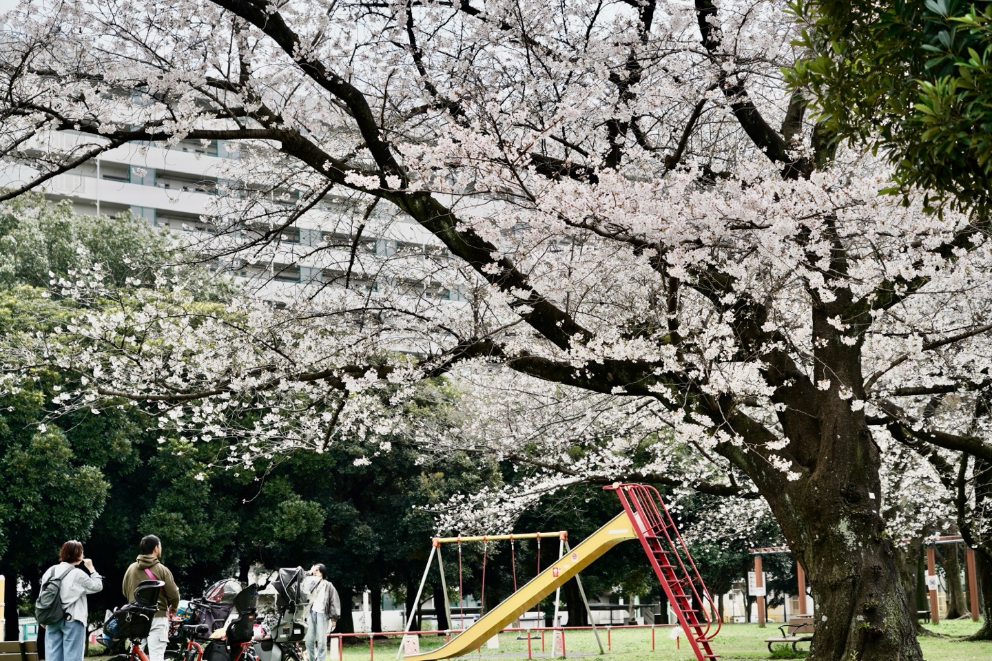 掲示板画像