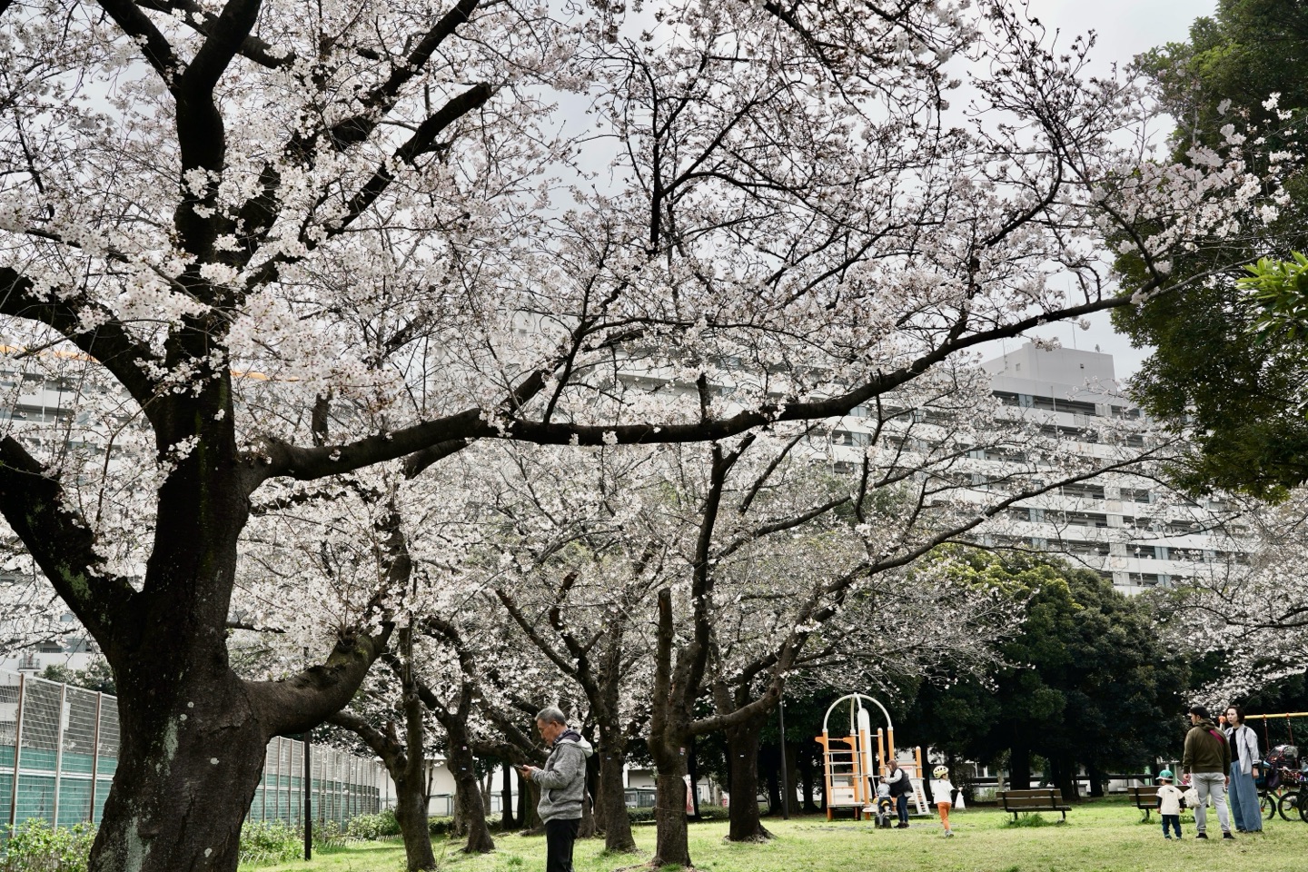 掲示板画像