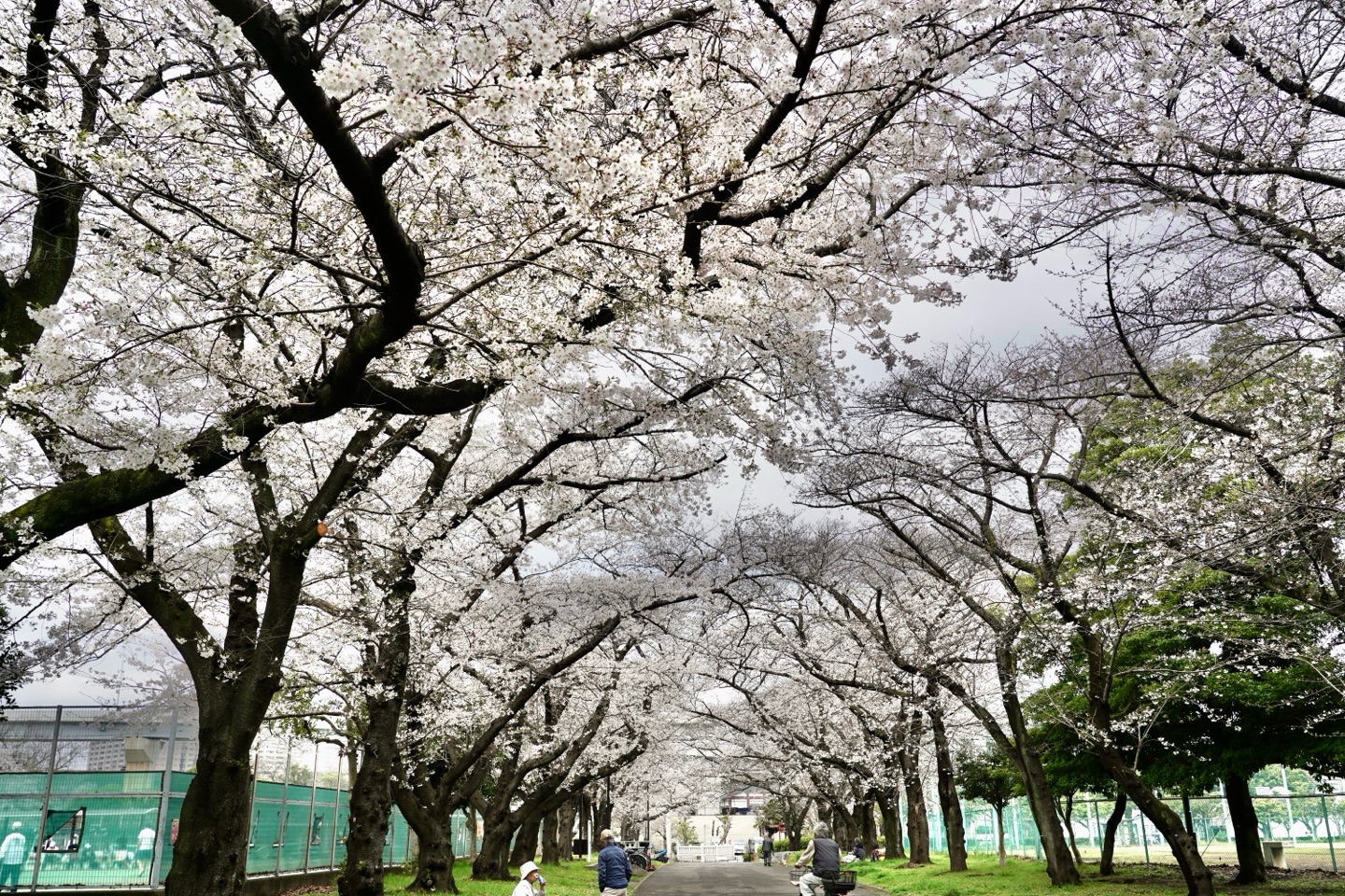 掲示板画像