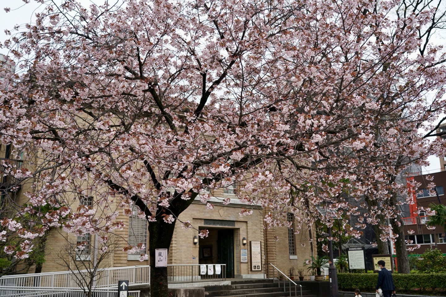 掲示板画像