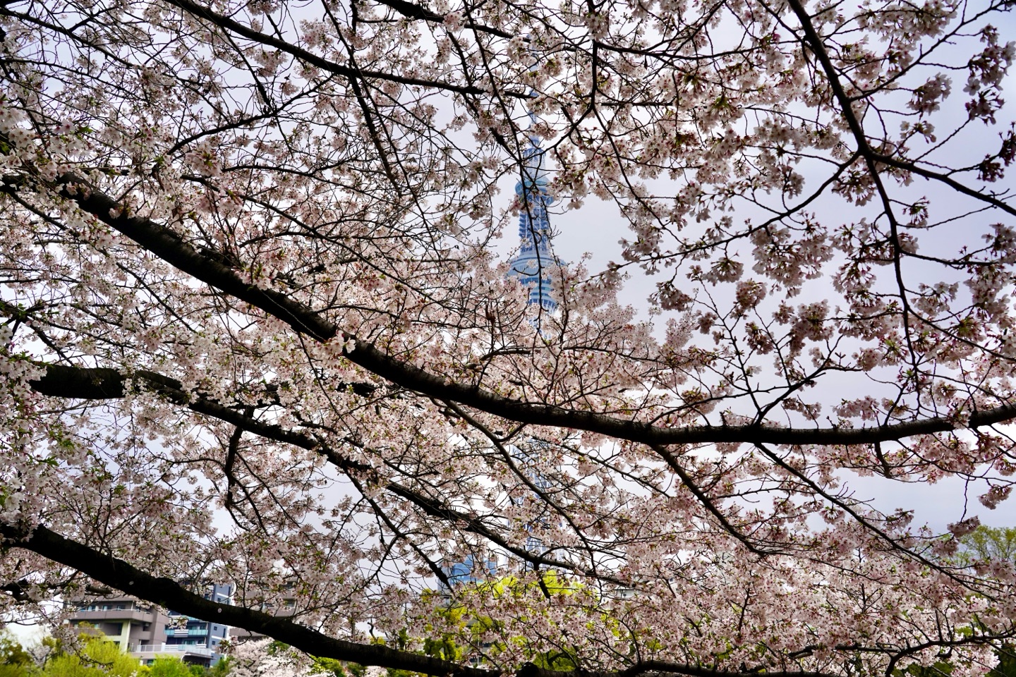 掲示板画像