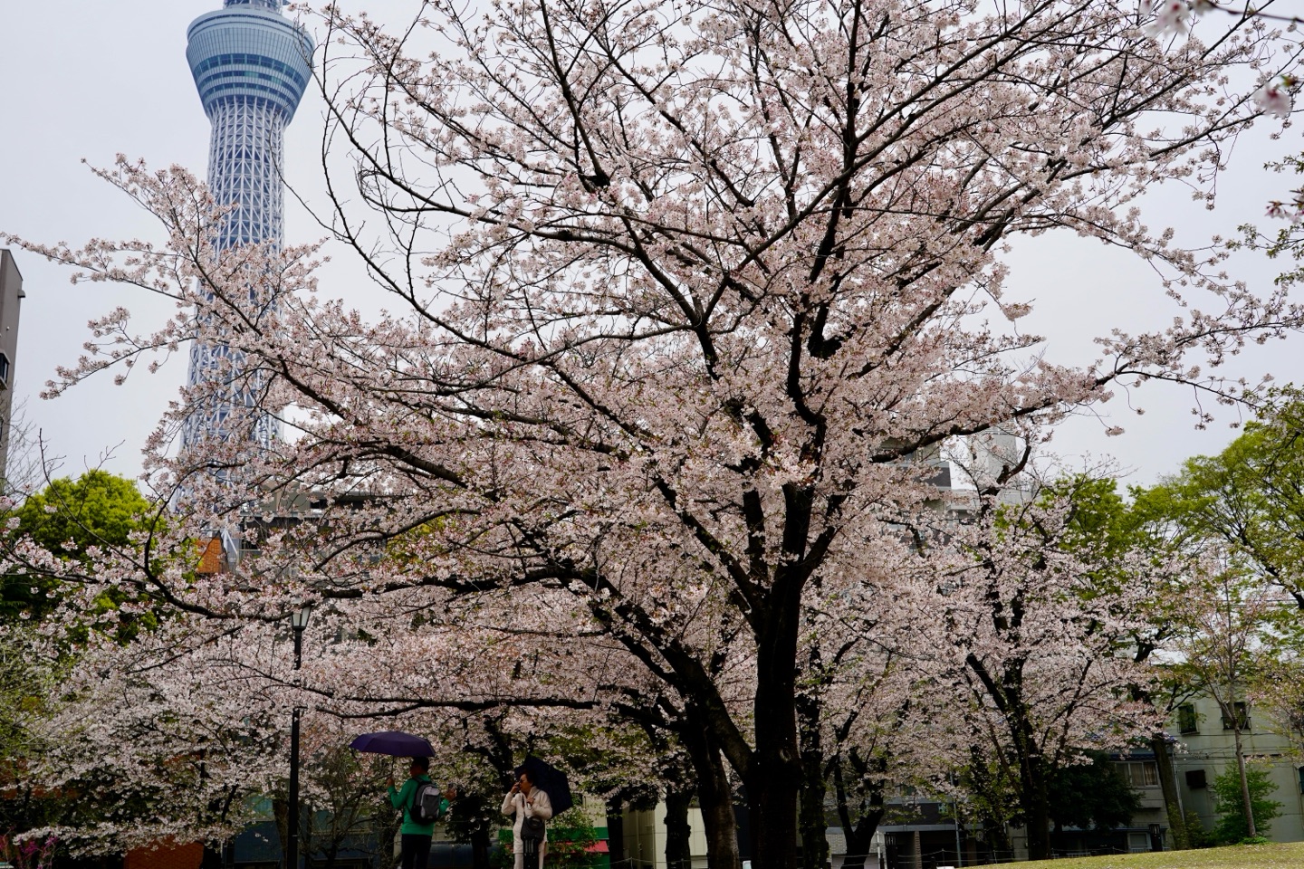 掲示板画像