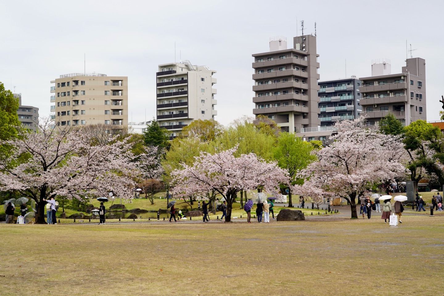 掲示板画像