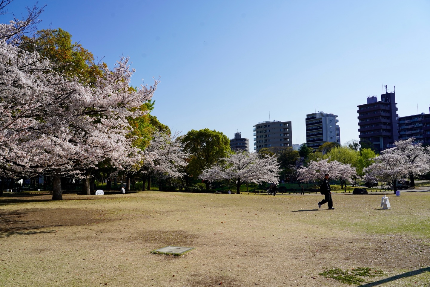 掲示板画像