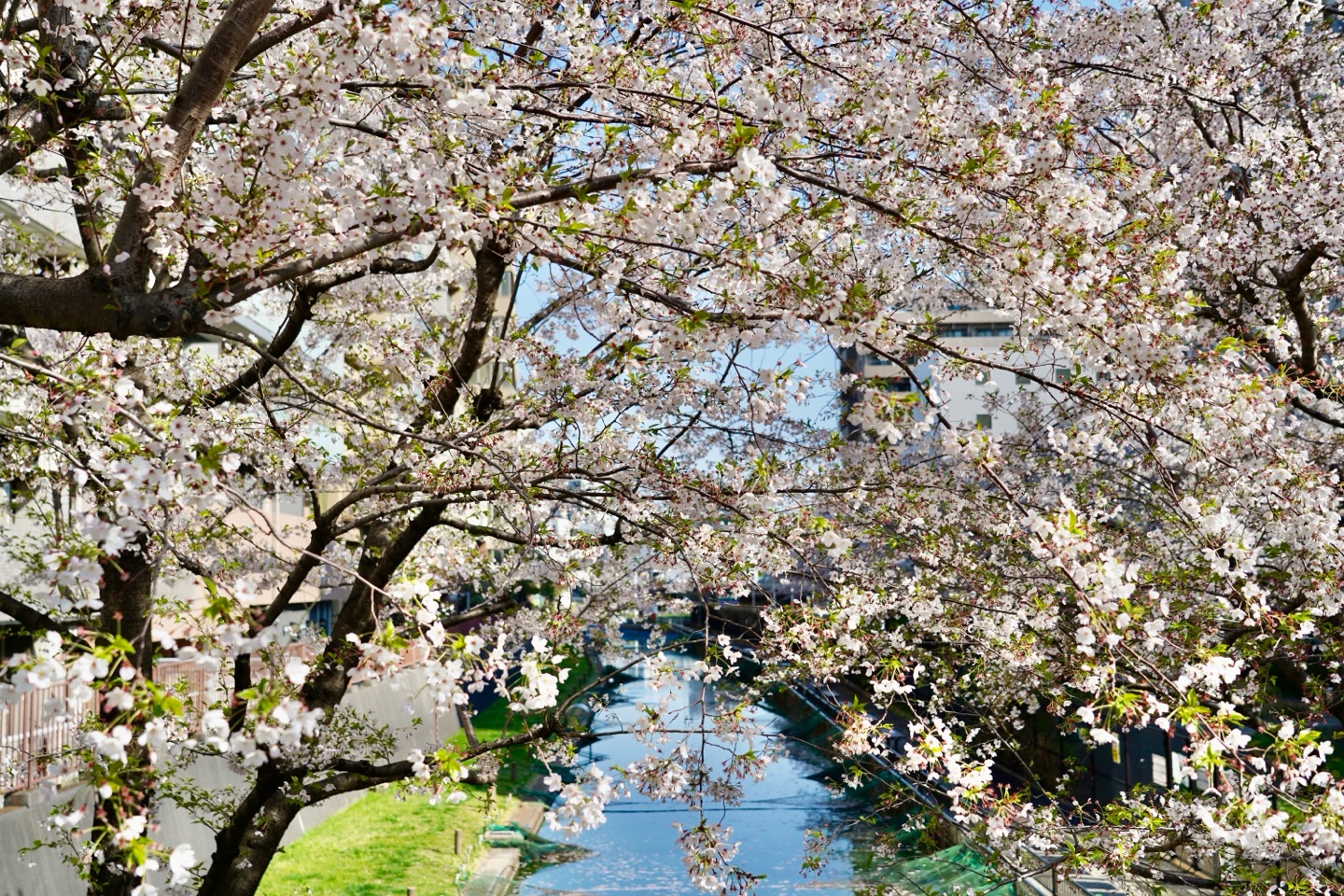 掲示板画像