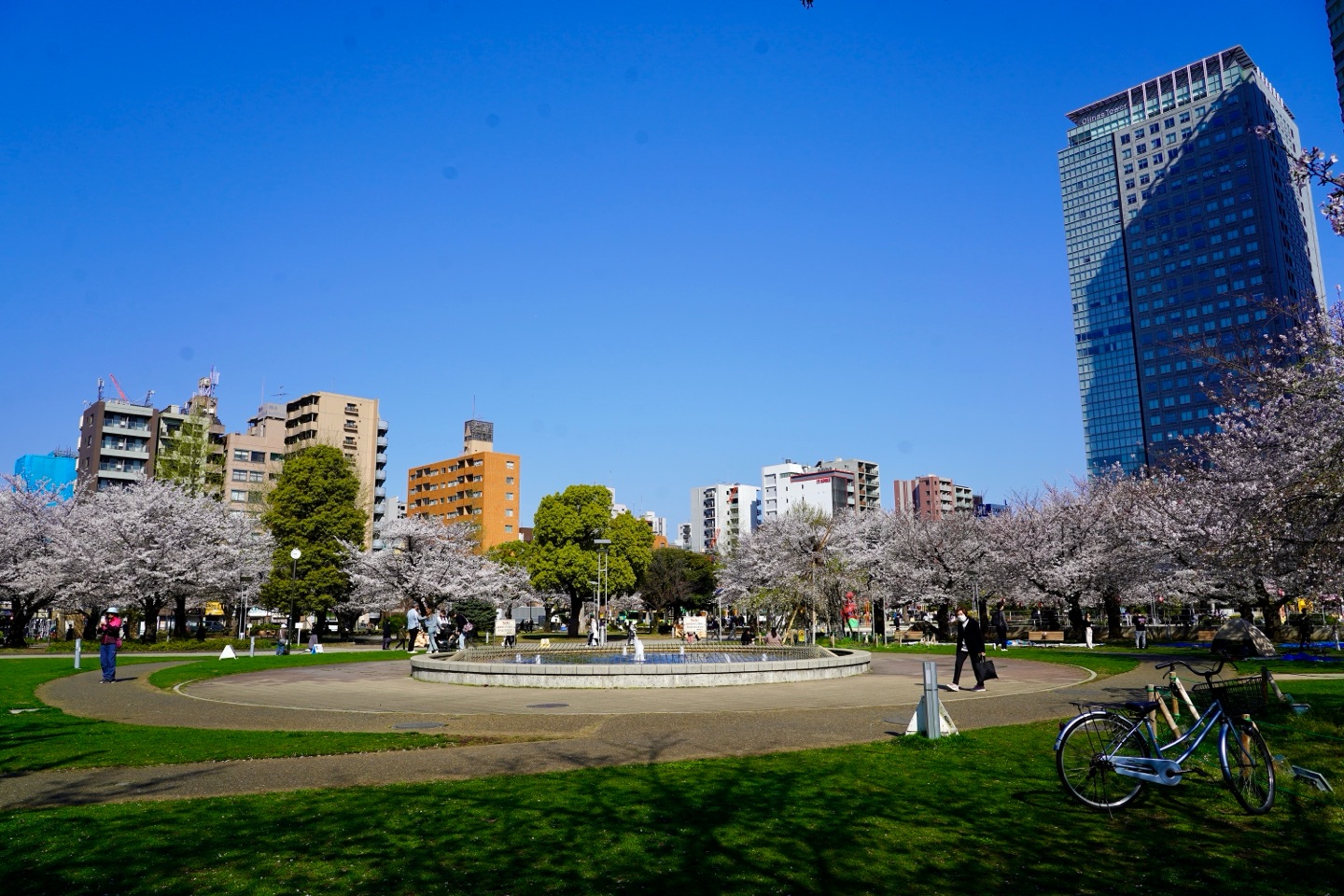 掲示板画像