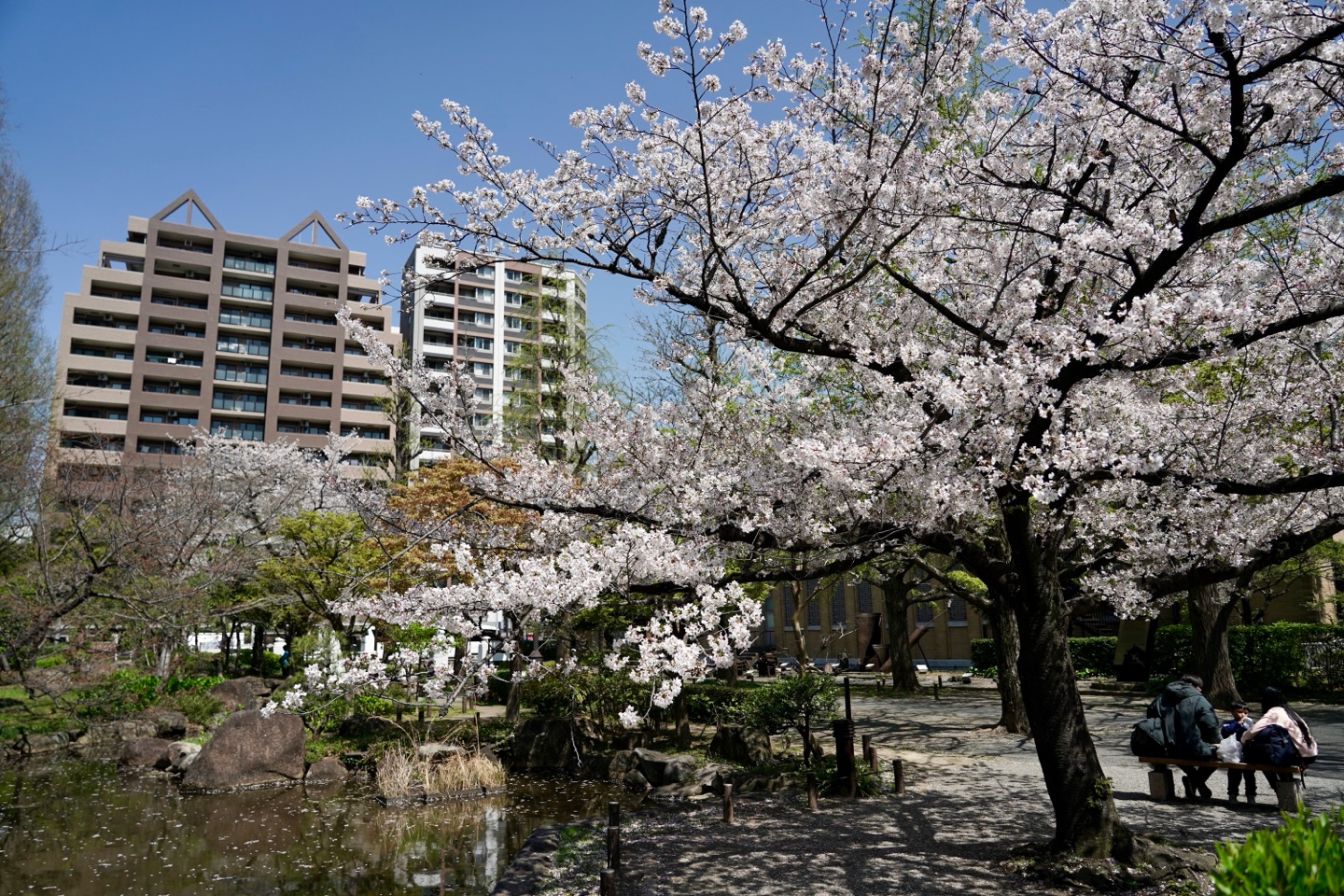 掲示板画像
