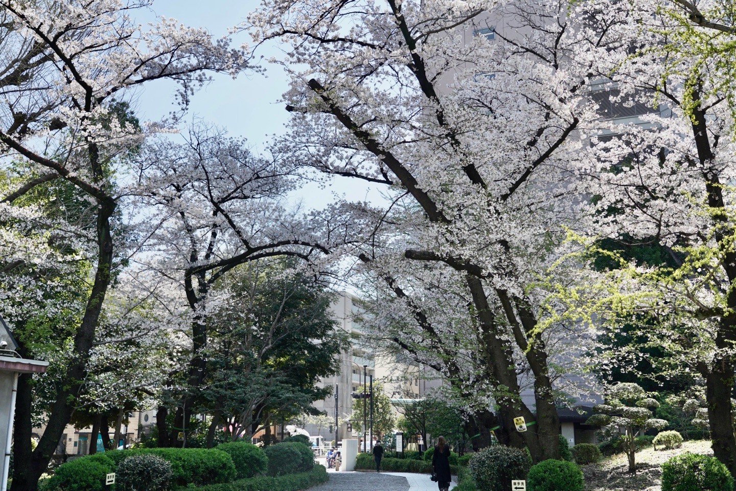 掲示板画像