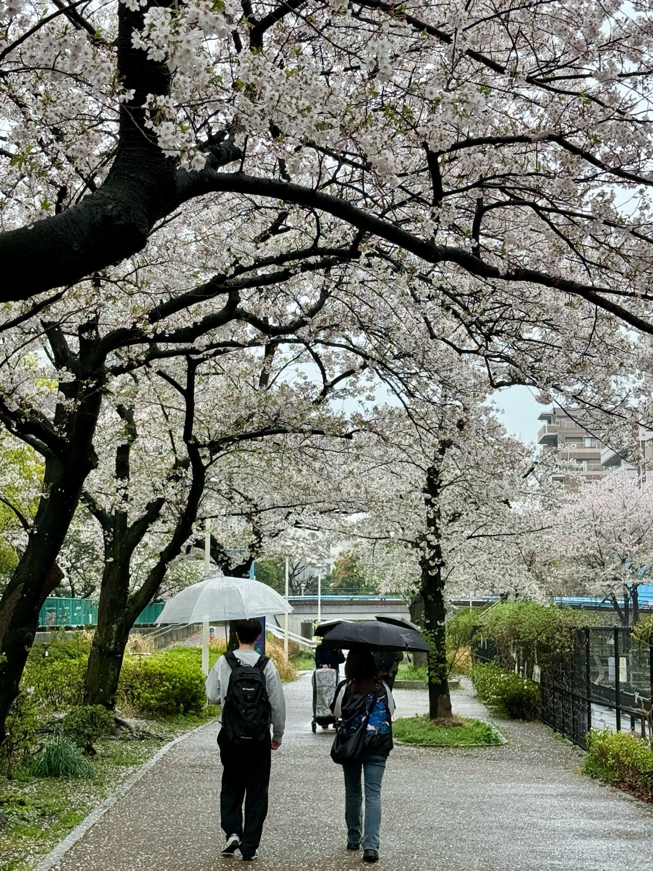 掲示板画像