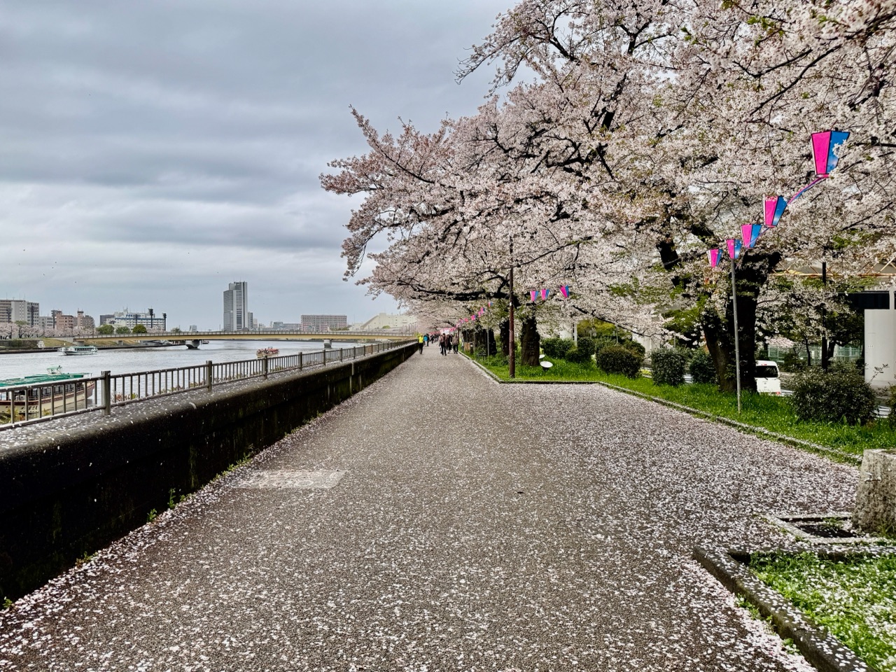 掲示板画像