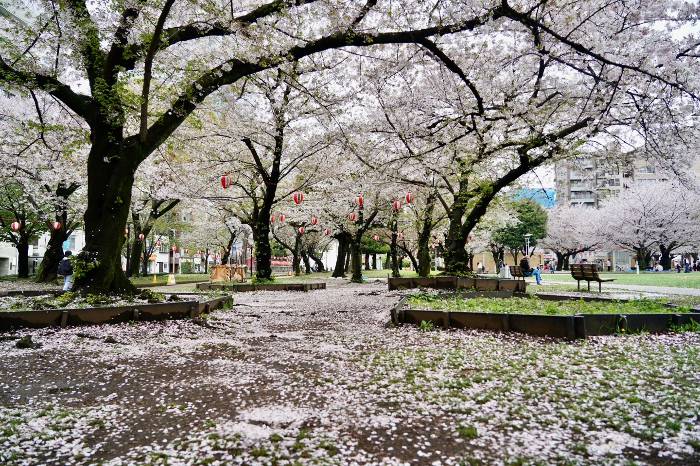 掲示板画像