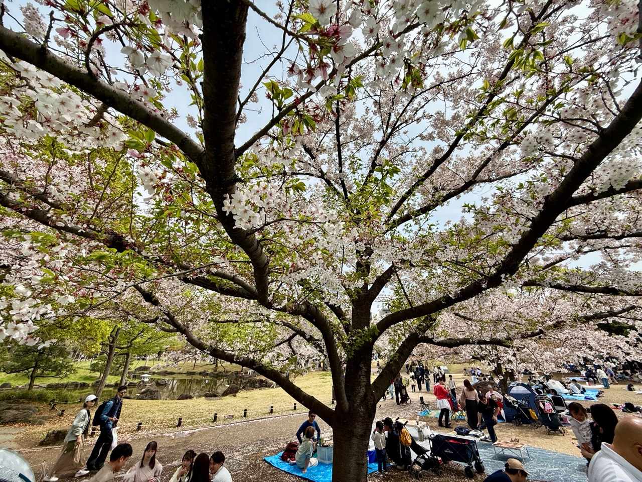 掲示板画像