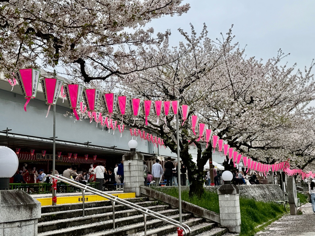 掲示板画像