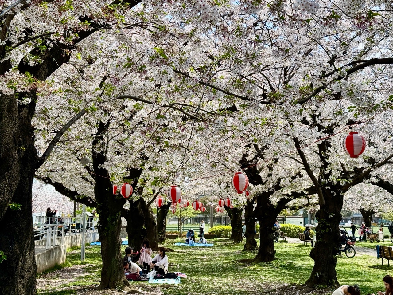 掲示板画像