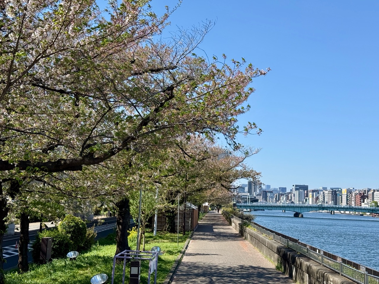 掲示板画像