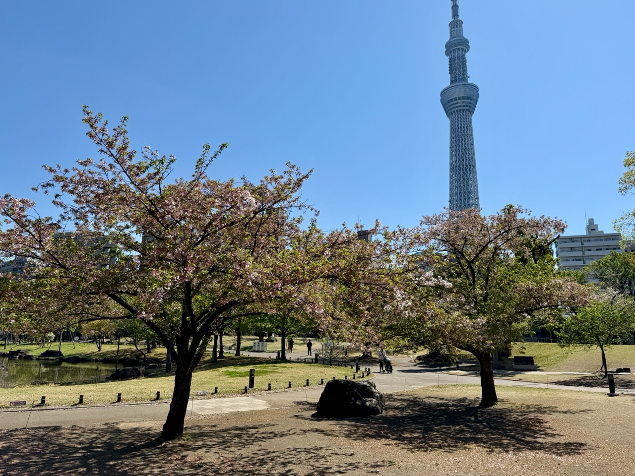 掲示板画像