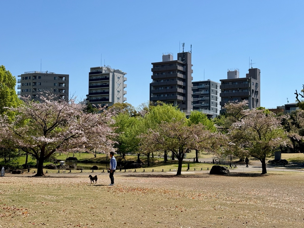 掲示板画像