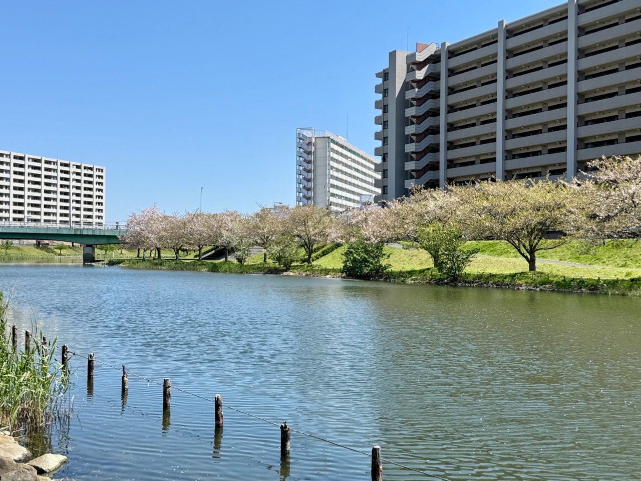 掲示板画像