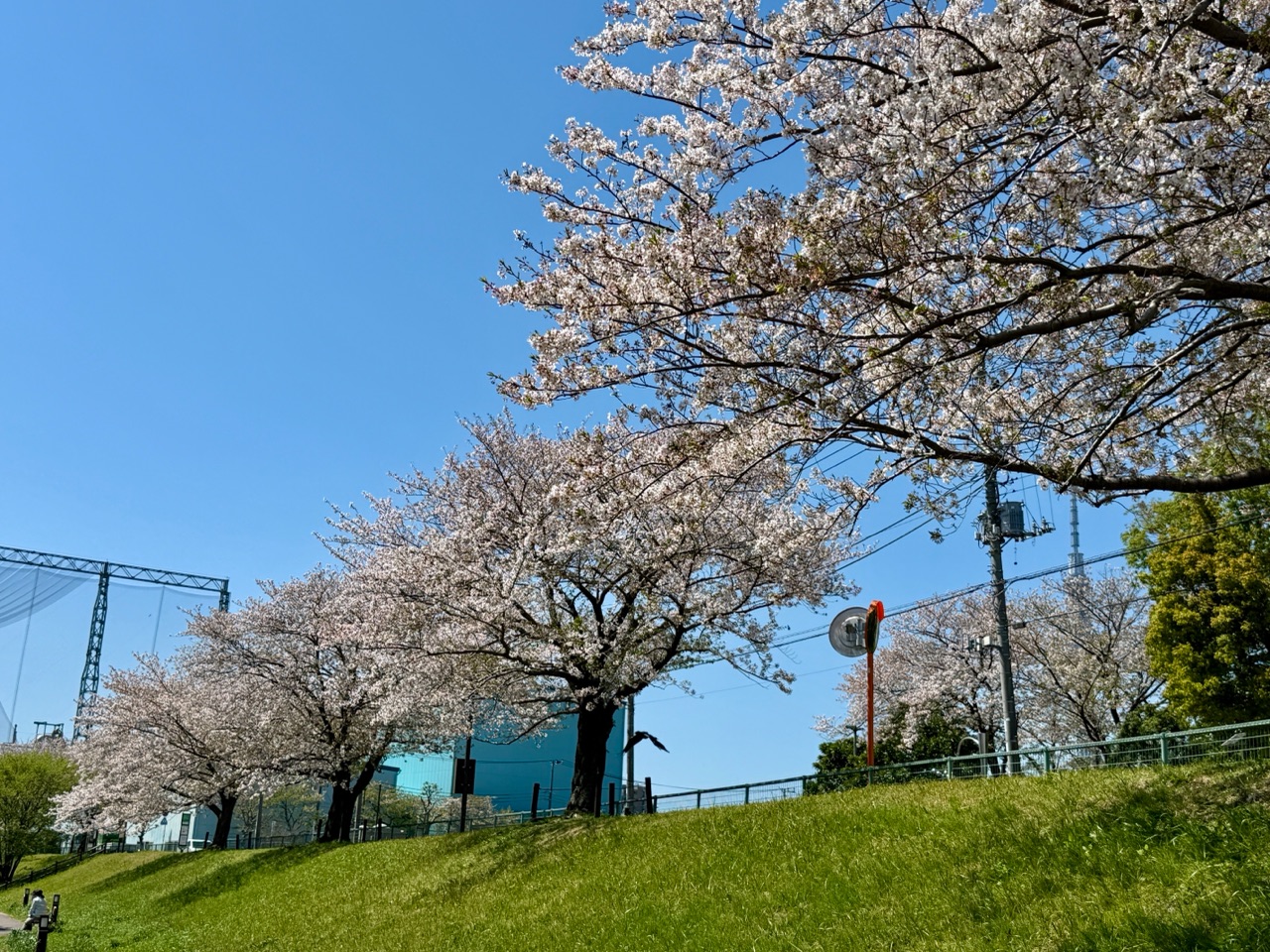 掲示板画像