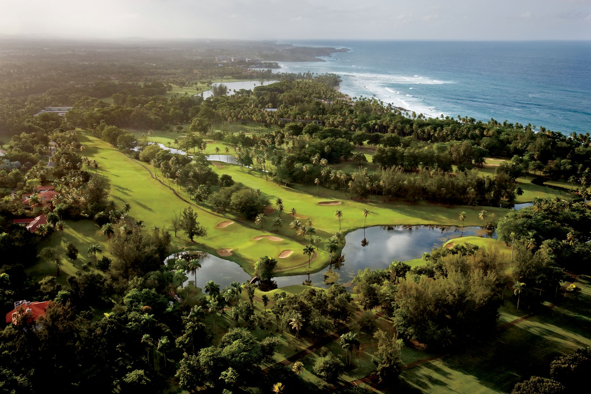 ritzPR5.jpg