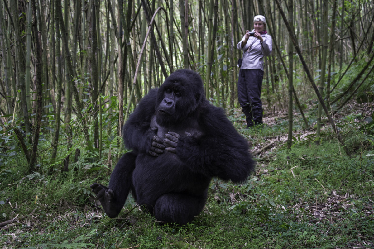 Rwanda-308.jpg