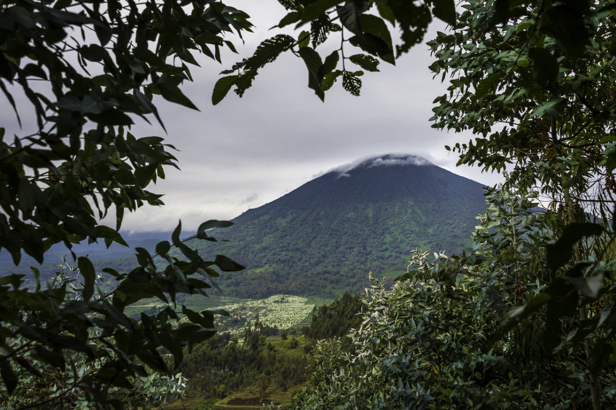 Rwanda-373.jpg