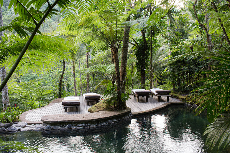 COMOShambhala%20Estate%20-%20The%20Estate%20-%20%20Kedara%20Water%20Garden%20372dpi.jpg