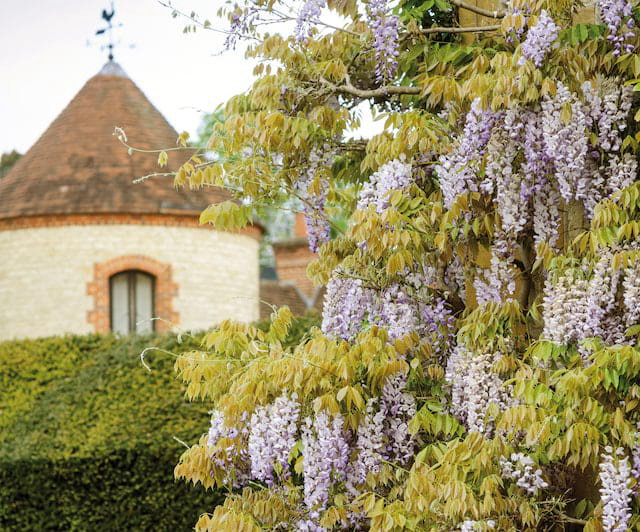 manoir20.jpg