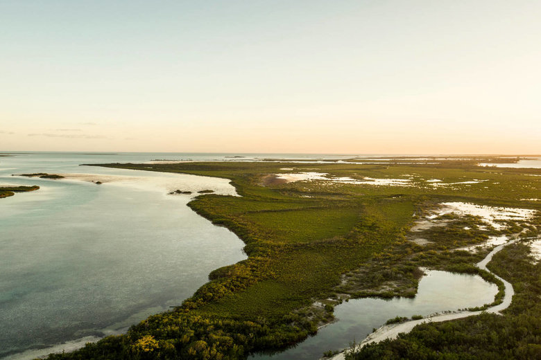 COMO%20Parrot%20Cay%20-%20Wetland%20Nature%20Reserve.jpg