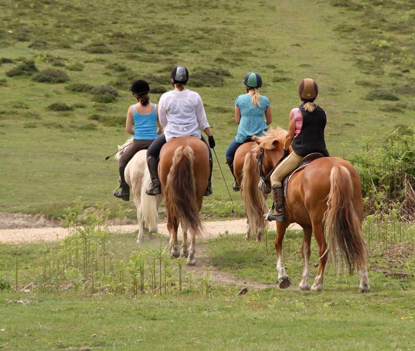 chewtonhorse-riding.jpg
