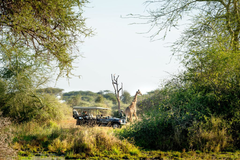 Singita-Pmaushana-Lodge-Zimbabwe-1024x683.jpg