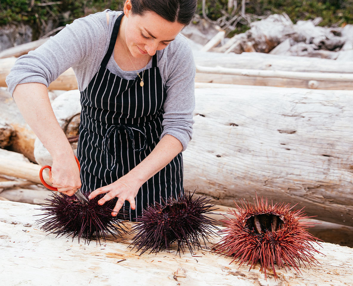 nimmo-culinary-chef-preparing-uni.jpg