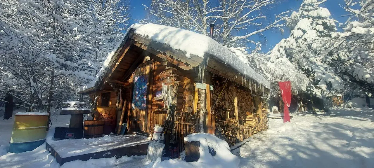 Dzika Sauna Zagnańsk - zdjęcie główne