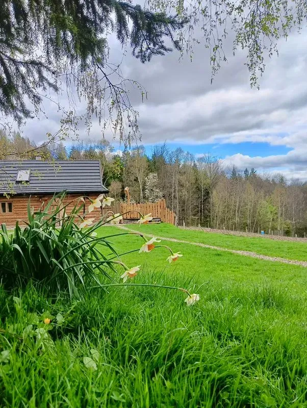 Babiogórska sauna  - zdjęcie główne