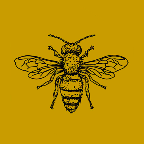 store-logo