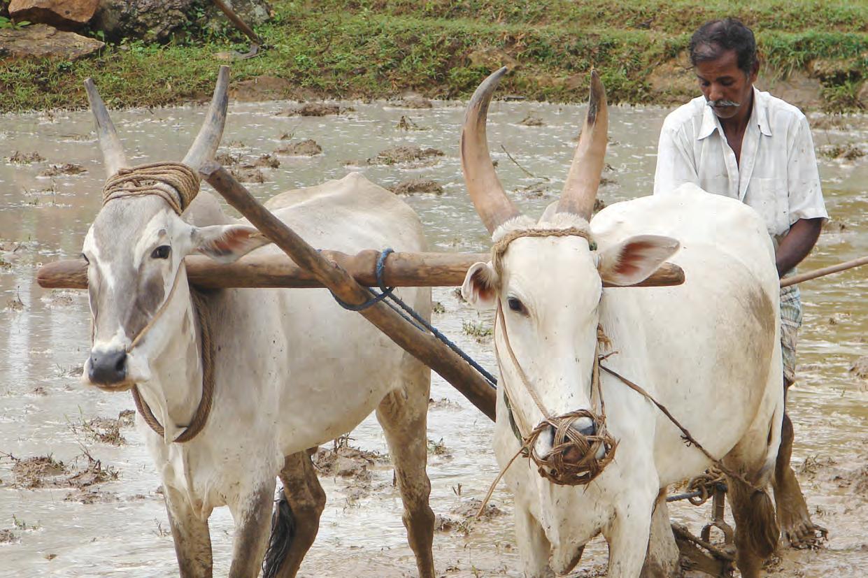 Enhanced Water Management