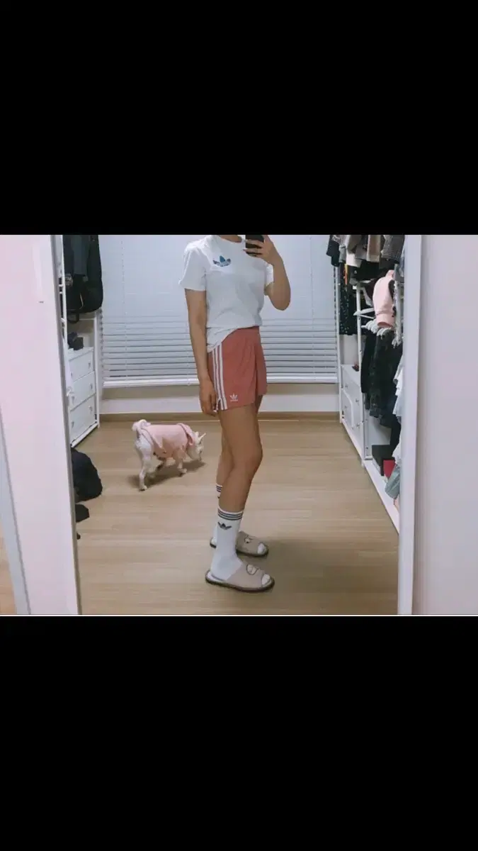 thumbnail-11