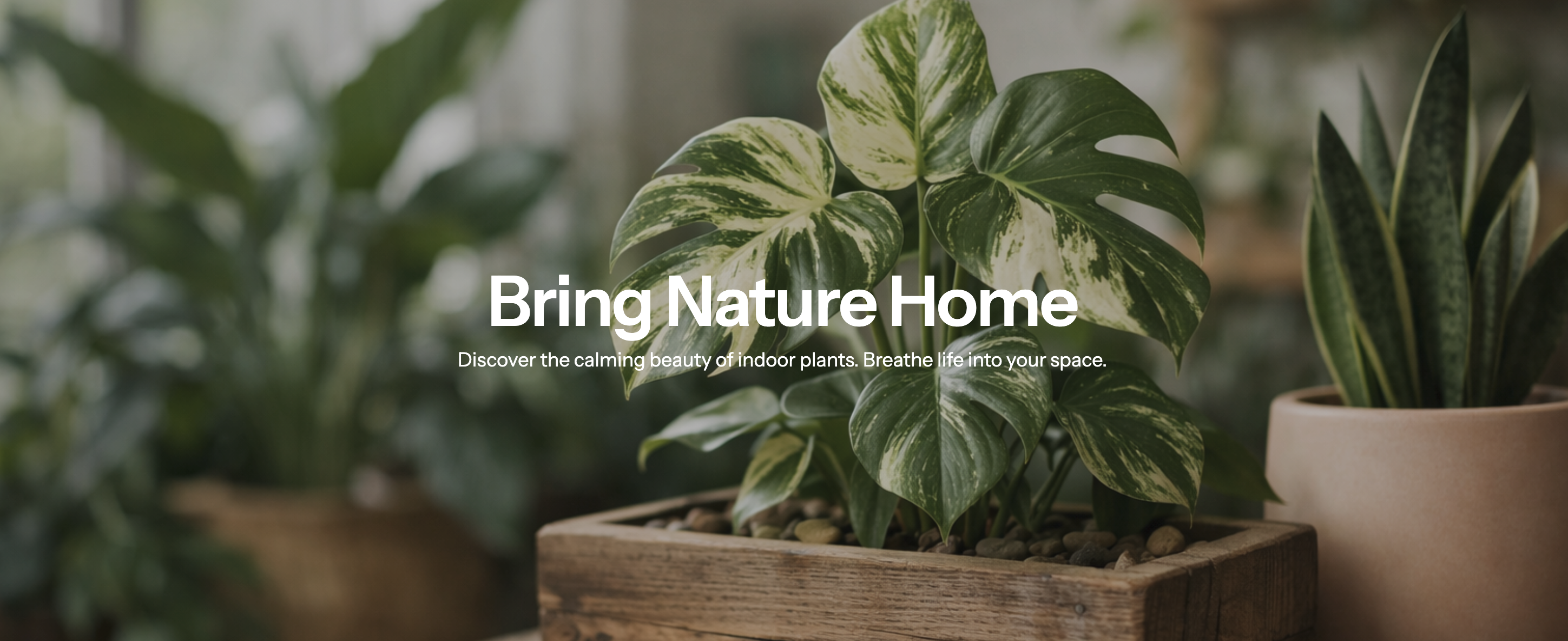 Nature Home