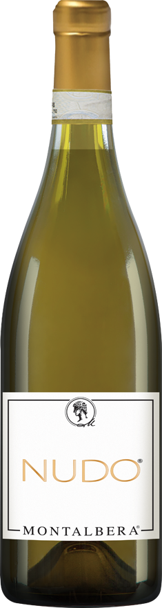 Langhe DOC Chardonnay