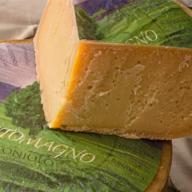 Pratomagno