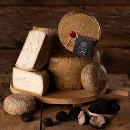 Pecorino al tartufo Il Piacere