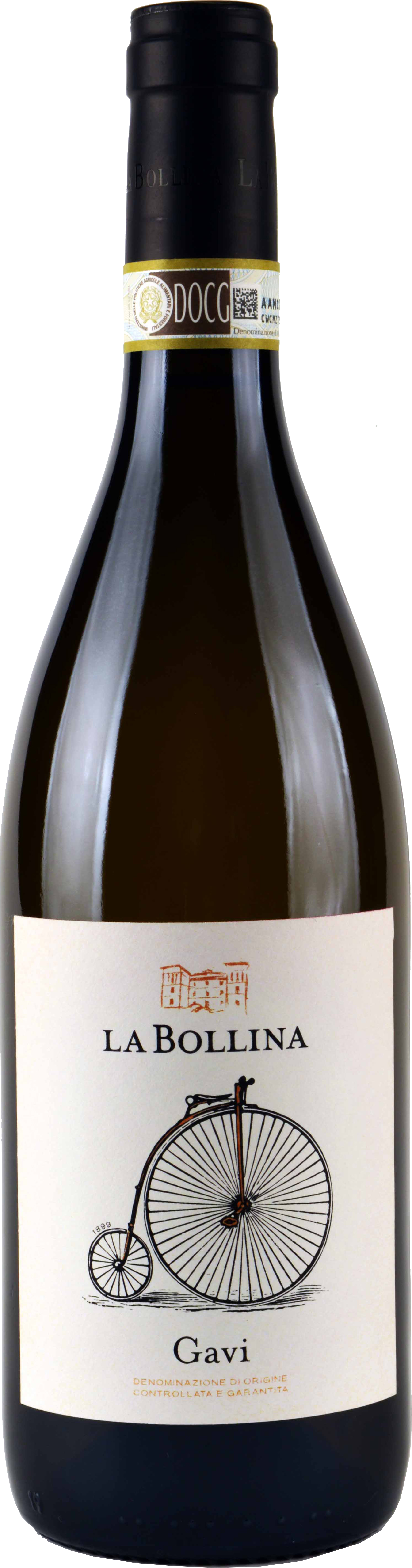 Gavi Docg