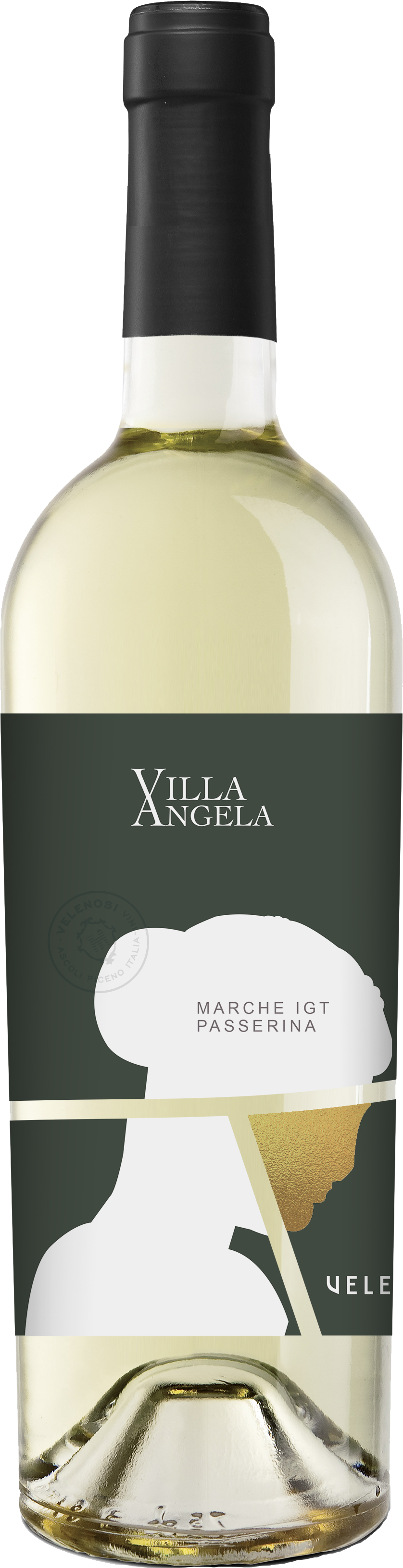 Villa Angela Passerina Marche IGT