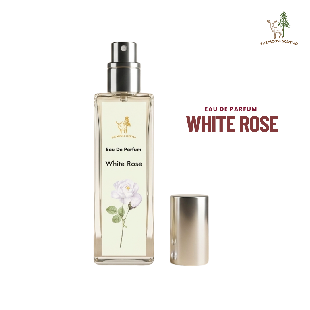 white rose (2)