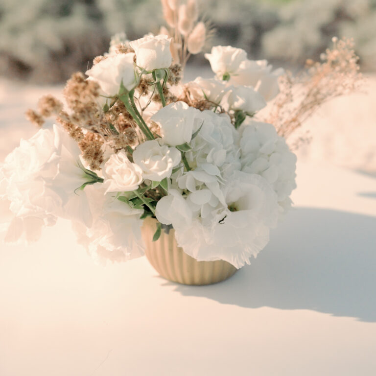 Cancun Wedding Videographer portfolio photo 1