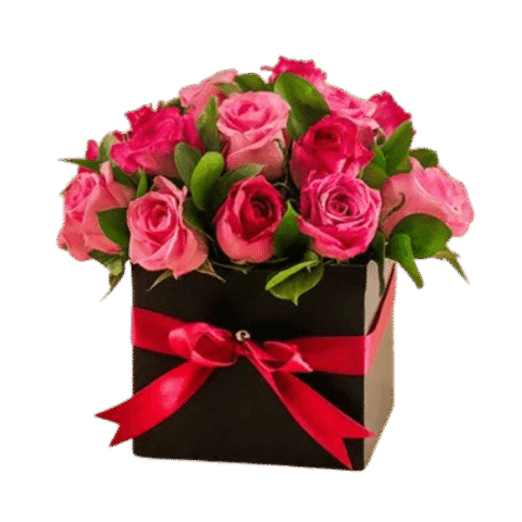 Floreria Iris work 4